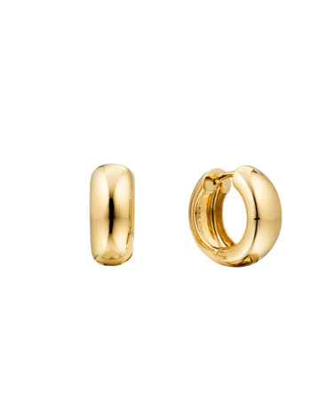 Picture for category Earrings